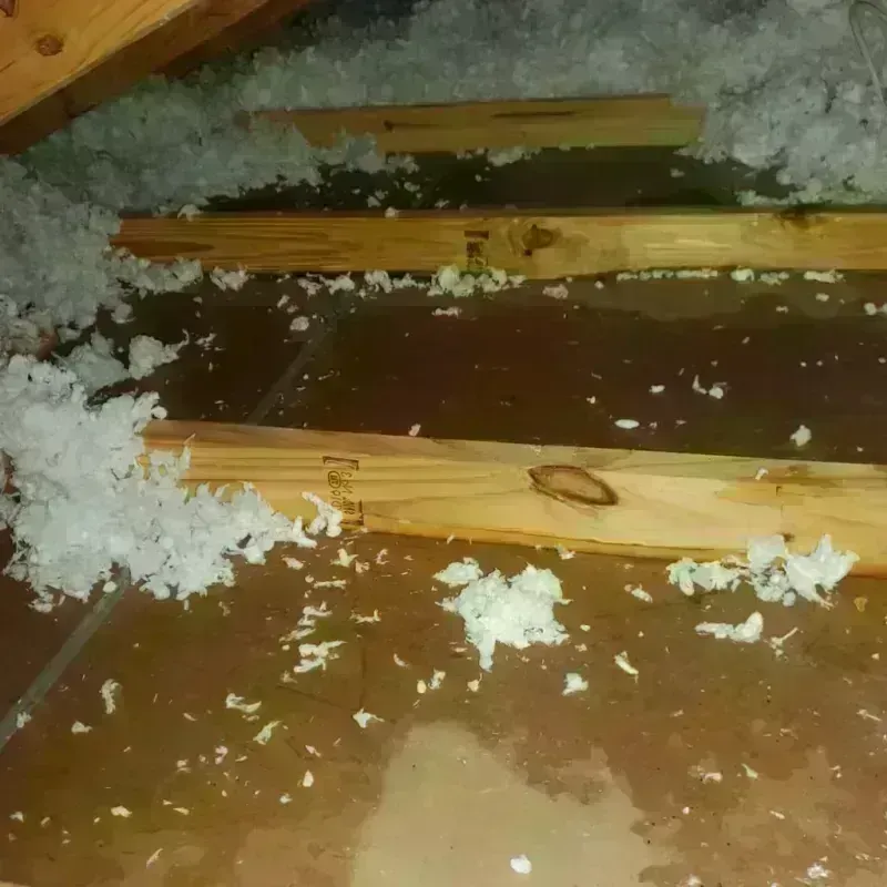 Attic Water Damage in West, TX