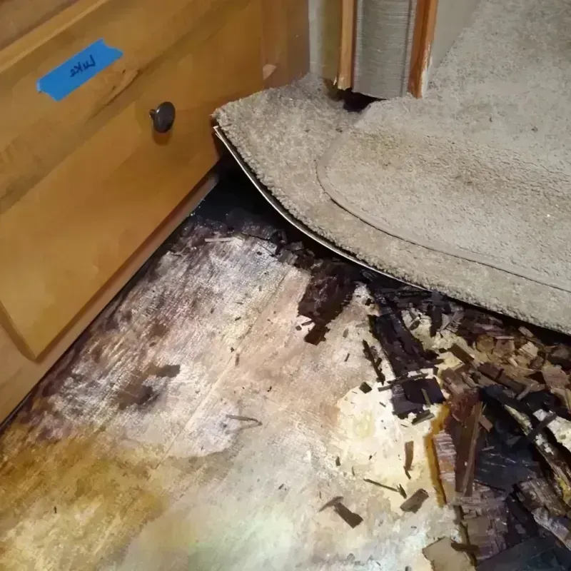 Wood Floor Water Damage in West, TX